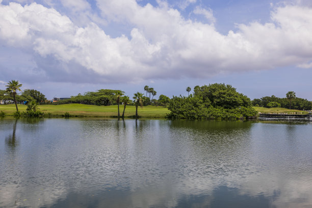 阿鲁巴岛上美丽的湖景和高尔夫球场。图片下载