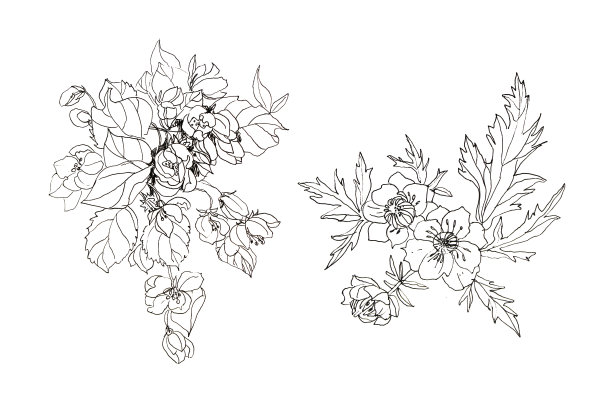 设置手绘黑线树枝与苹果花孤立在白色背景。春天芬芳的花朵。繁茂的树叶为浪漫的庆祝。婚礼或3月8日的剪纸。包装,标签图片下载