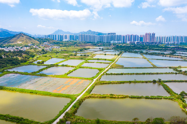 夏天的香港有渔场图片下载