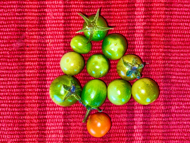 圣诞主题-自制农产品图片下载