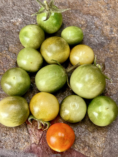 圣诞主题-自制农产品图片下载