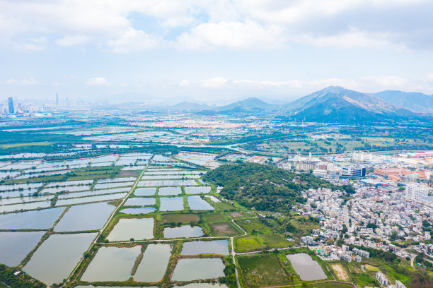 夏天的香港有渔场图片下载