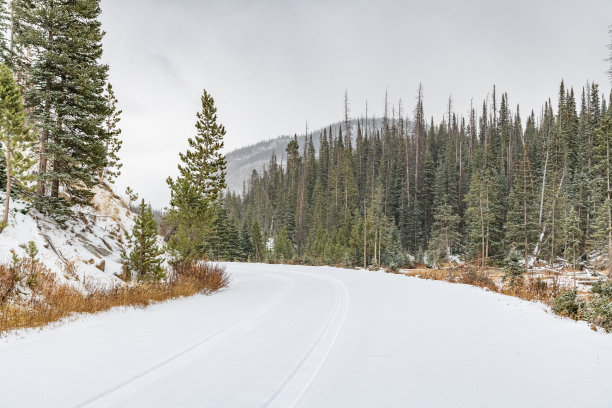 厚厚的积雪覆盖了科罗拉多州北部国家森林的4x4土路图片下载