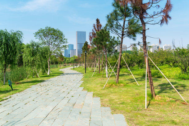 上海现代建筑背景的城市公园图片下载