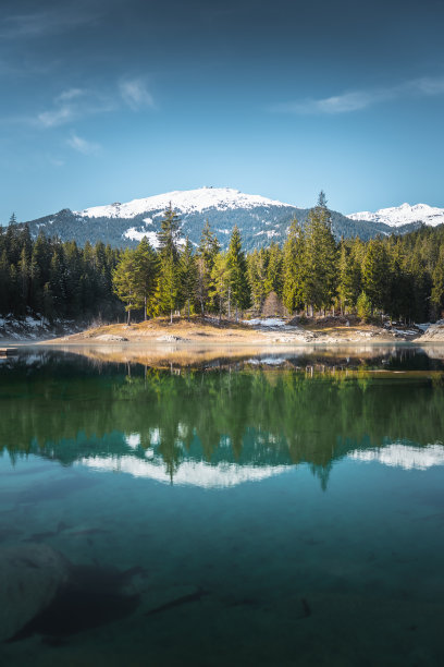 冬天，瑞士Grisons地区靠近Flims的Caumasee湖的树木和大自然的照片图片下载