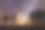 星空下美丽森林的低角度照片图片下载