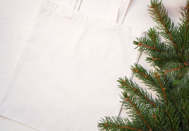 实物环保米色或白色彩色帆布棉布袋松枝和球果在白色木制背景。购物袋模型空白模板。可重复使用的杂货袋和购物袋。冬天，圣诞节和新年的背景概念图片下载