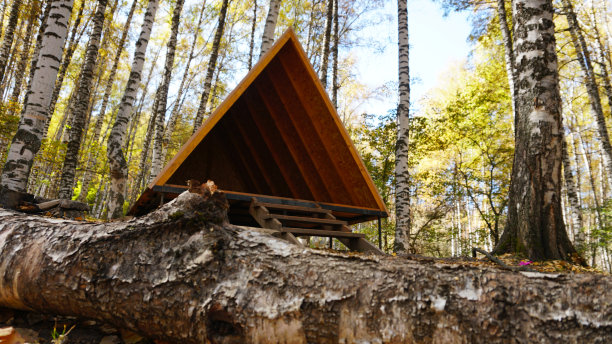 秋天森林里露营的木制凉亭。图片下载