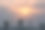 树剪影在日落背景。图片下载
