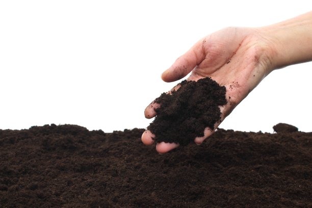 泥土从一个女人的手中倾泻而出。图片下载