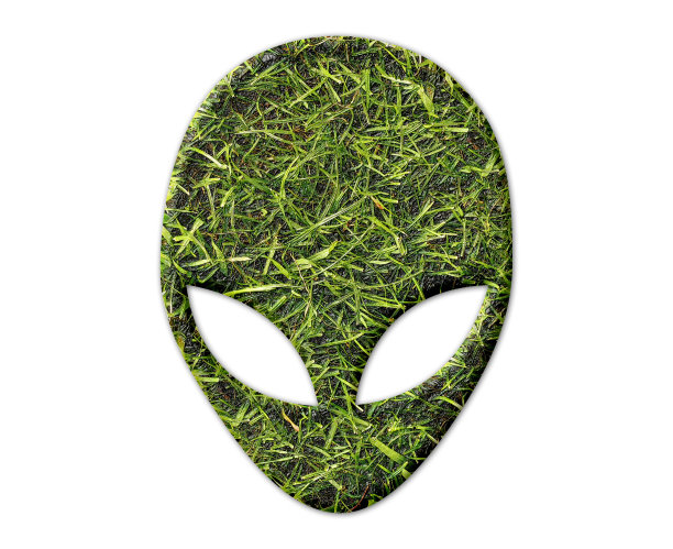 外星头的形状与草纹理隔离在白色背景上图片下载