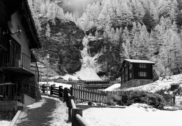 乡村房屋被白雪覆盖的树木包围的灰度照片图片下载