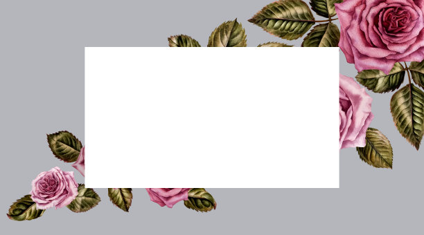 水彩画的粉红玫瑰和绿叶的植物插图的技术。图片下载