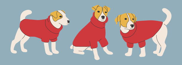 收集可爱的狗和衣服。矢量插图的印刷品，服装，包装，贴纸。图片下载