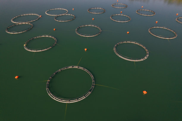 渔场鸟瞰图图片下载