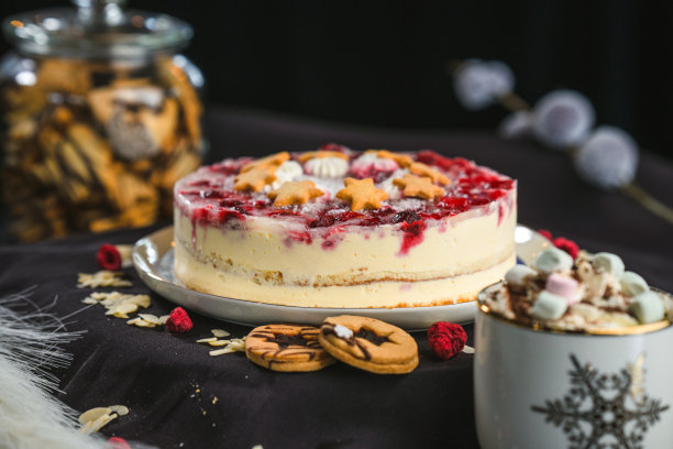 专业排列的树莓酸奶蛋糕，上面有饼干和水果图片下载