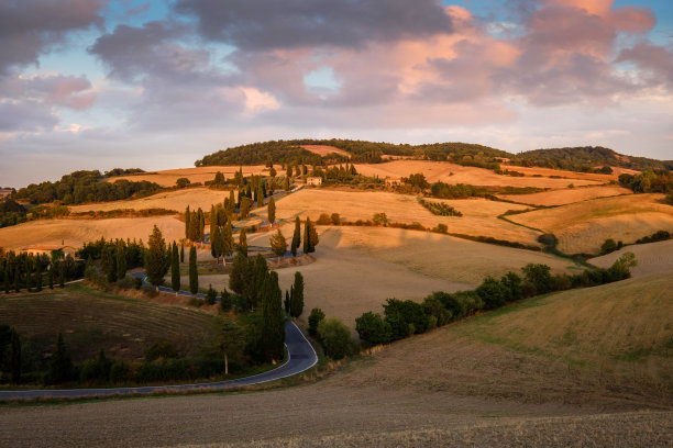 托斯卡纳的柏树景观图片下载