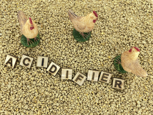 家禽肠道健康问题，肠道健康的良好表现。问题，治疗和控制。酸化剂、有机酸。图片下载