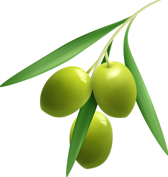 现实的橄榄图片下载