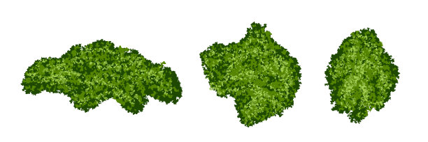 一组绿色的苔藓岛或森林地衣与现实的纹理隔离在白色背景图片下载