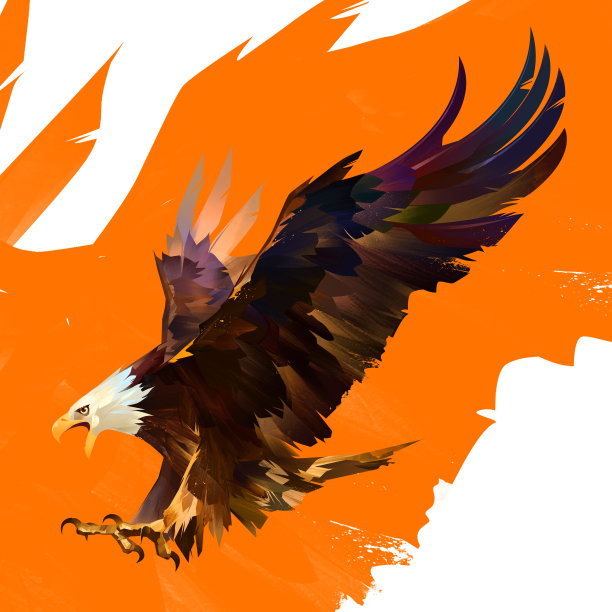 绘制的设计师鹰在橙色的背景。飞翔的鸟草图图片下载