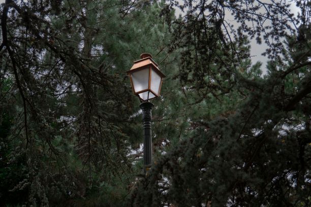 公园里的路灯。图片下载