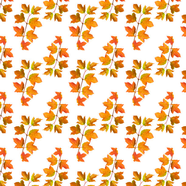 图案无缝秋季枝与彩色的小叶。图片下载