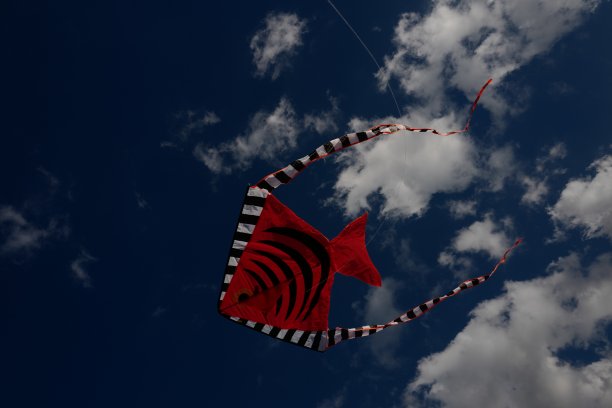 风筝在天空中飞翔图片下载