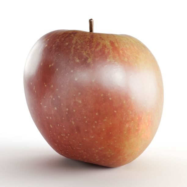 一个3D渲染的红苹果在工作室照明下孤立在白色背景上的特写图片下载