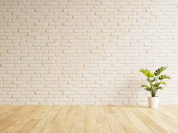 空白墙与砖的纹理，木板地板与木纹和怪物花。内容的模板。3 d演示。图片下载