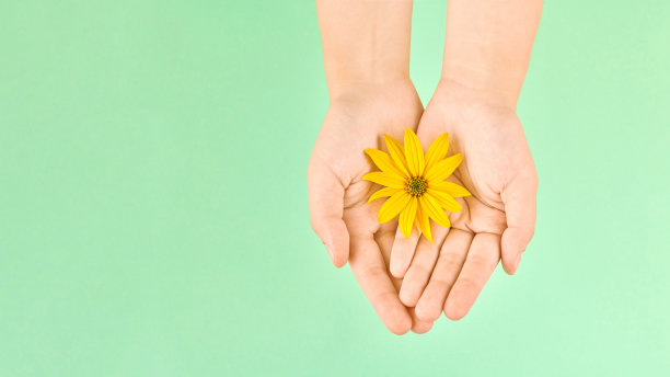 黄花在女性掌心，手部卫生和美容护肤理念，左旗复制空间图片下载