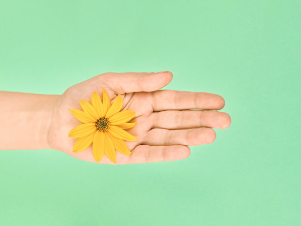 女性掌心黄花，环保，美容护肤理念，纯天然的象征图片下载