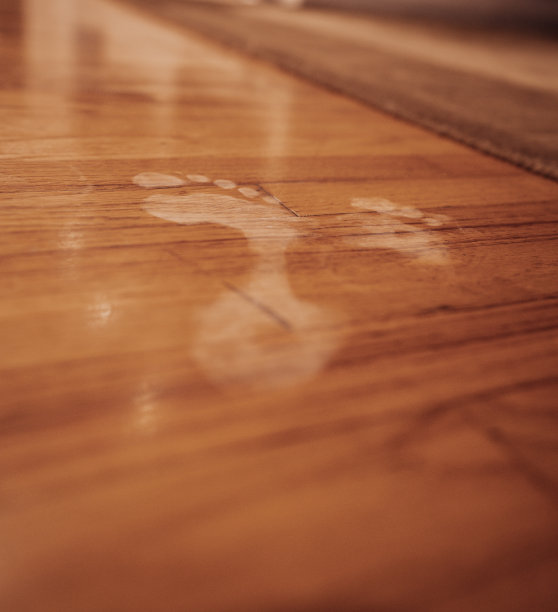 的足迹图片下载