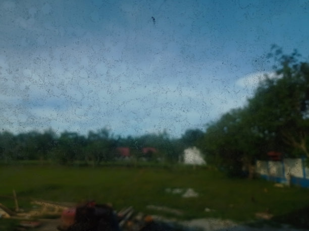 蓝天和院子的户外照片图片下载