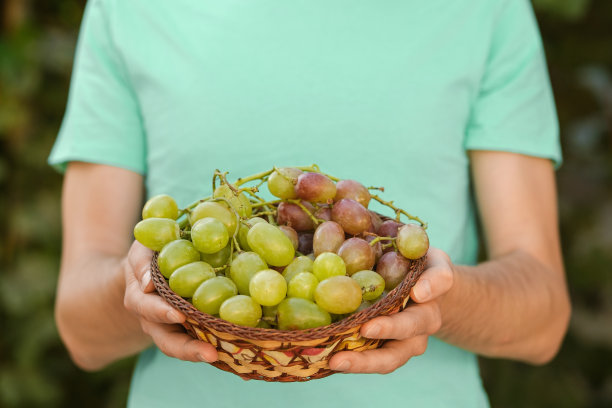 一个穿着绿色t短裤的男人拿着葡萄篮子的特写镜头。图片下载