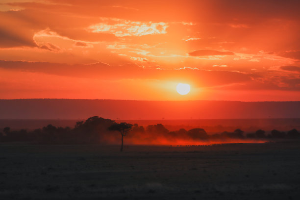 在非洲的日落。热带稀树草原景观与动植物剪影图片下载