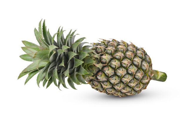 白色背景上孤立的菠萝。图片下载