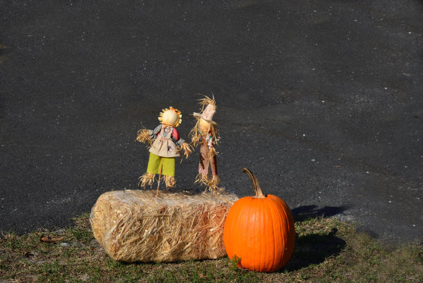 干草捆上的万圣节玩偶人物图片下载