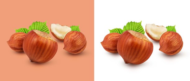 白色背景的榛子叶作为包装设计元素图片下载