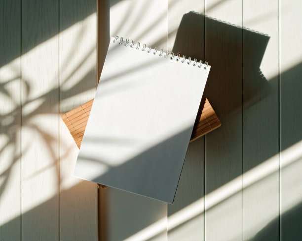 一株植物的影子落在打开的笔记本的空白页上。一个简单的概念，计划事情，学习，列清单，记日记。平的。前视图。副本的空间。图片下载