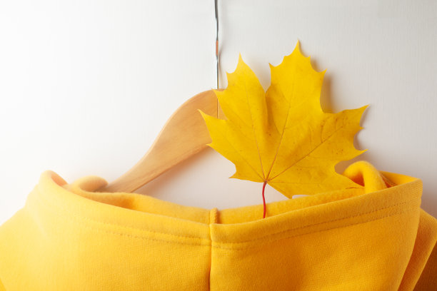 秋叶背景图片下载