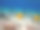 红海珊瑚礁中的带纹蝴蝶鱼，埃及沙姆沙伊赫图片下载