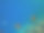 红海珊瑚礁中的带纹蝴蝶鱼，埃及沙姆沙伊赫图片下载