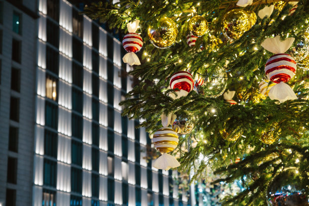 夜晚，现代城市中心的圣诞树装饰图片下载