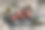 特写镜头生牛肉片在杂乱的餐桌上与迷迭香和大蒜图片下载