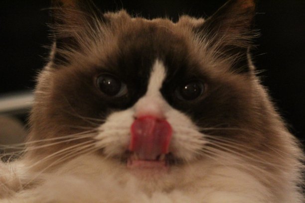 鼻子很讨厌的人图片下载