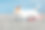 可爱有趣的狗杰克罗素梗特写图片下载