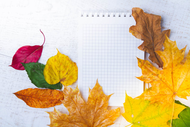 在秋叶中记录的空白笔记本。钢笔和记事本。图片下载