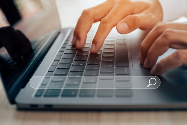 数据搜索技术用空白搜索栏优化搜索引擎。图片下载