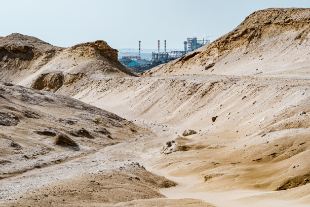以色列死海景观中的植物设施图片下载